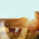 영어는 내 친구 이미지