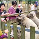 은성종합사회복지관 이미지