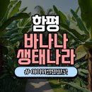 함평천지생태농장 | 아이와 함께라면 무조건 추천! 함평바나나생태나라 체험기