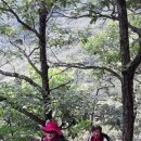 오라 이미지