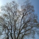 포천 한국 태권도장 이미지