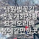 레저-요천상류3 | 남원 벚꽃길 요천 개화상황 3/31 오리배 벚꽃구경 봄에갈만한곳 벚꽃명당 포토존