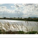 강가의 추억 이미지