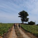 목우경로당 이미지