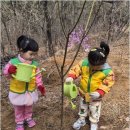 자연유치원 | 도심 속 자연을 경험하는 효성1동어린이집과 백석동 어린이집의 특별한 보육 환경