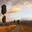 겟업(GET UP) 이미지