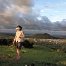 제주다반사 이미지