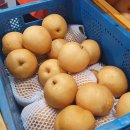 미래유통 이미지