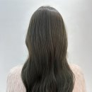 어레브헤어
