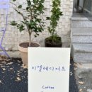 미엘레디저트