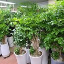 초원꽃집 이미지