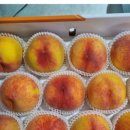 용택농장 이미지