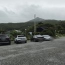 섬진강메기매운탕전문점 이미지