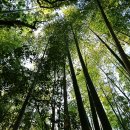 공항LPG충전소 이미지