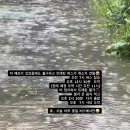 금강송면사무소 | 울진 왕피천 계곡 트레킹 폭우로 인한 통제