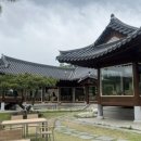 그리네 사바나 이미지