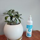 그린1급종합검사정비 이미지