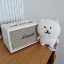 UR(동해시)-[효자로]-하-229 | 2.18~2.20 강릉 혼자 여행기 2편