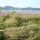 밀물농장 이미지