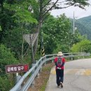 인제13-2 Daum카페