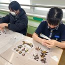 대전대화중학교 이미지