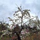 대송목욕탕 이미지