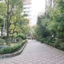 부동산911공인중개사사무소 이미지