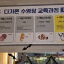 다가온 수영장 이미지