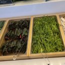 조정경기장 화장실 | 하남미사점 '샤브올데이'_미사리 조정경기장 밥집(무료주차)