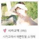 시카고댁 이미지