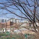 갈산초교 - 우 이미지