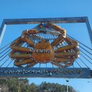 영덕대게거리 | 영덕 가족여행 후기(대게거리, 강구항 대게 맛집 내돈내산 후기)