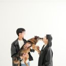 토리