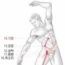 예의곡천 Daum카페
