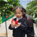 문백농장 이미지