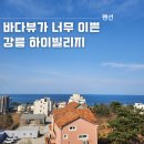 하이빌리지펜션 티스토리