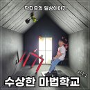 내곡동476 | 아이랑 강릉여행 필수 코스 수상한 마법학교 시즌2