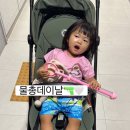 (주)유니콘51 | 내돈내산 어린이집 물총 준비물 급하게 쿠팡 주문했어요! 두돌 아기가 너무 잘 쓰는 분수 물총 회오리