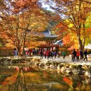 노작호수공원 이미지