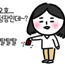 컷트&염색