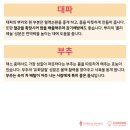 하이풀 스포츠 이미지