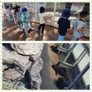9월 4주 - 베어트리파크 가을 소풍 이야기 4탄 곰과 동물친구들 ♥ 이미지