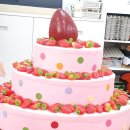 사랑의 빛 노인복지센터 | 광주더사랑노인복지센터- 🍓더사랑 딸기 농장🍓