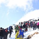 제주의 추억 이미지