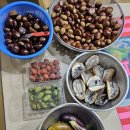 낭만기타 이미지