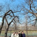 김순옥 | 담양 디저트 카페 김순옥댓잎찹쌀도너츠 본점 후기, 담양 죽녹원 카페 데이트 필수코스