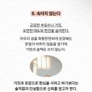 갈채호프 이미지