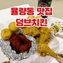 LH배꽃마을4단지 정문 앞 | 청주 율량동 치킨 9,900원 가성비 좋은 포장 맛집 덤브치킨