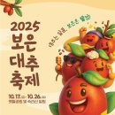 충청북도 보은군 보은읍 뱃들로 55-20 | 보은대추축제 2025 - 대추는 달콤, 보은은 웰컴