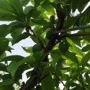 문애자농장 이미지